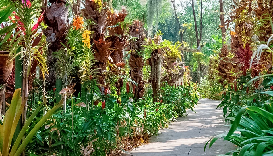 هتل تاورن پالم بیچ پوکت